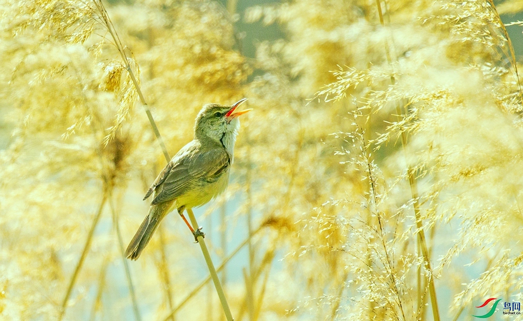 «��ݺ�� (1).jpg