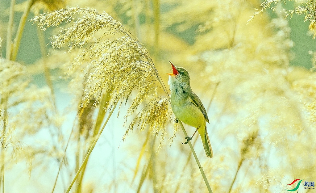 «��ݺ�� (3).jpg