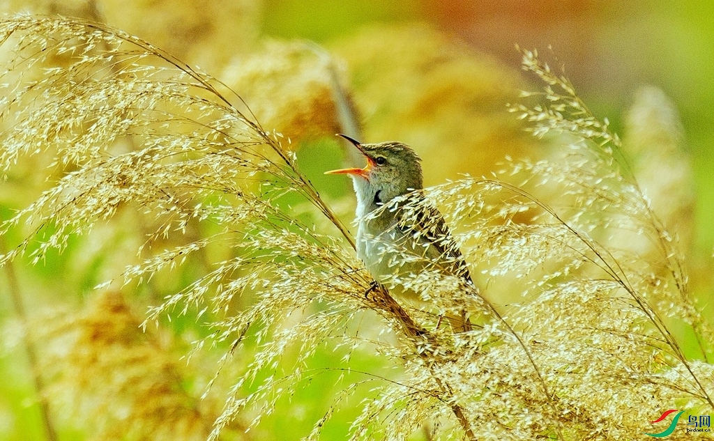 «��ݺ�� (2).jpg