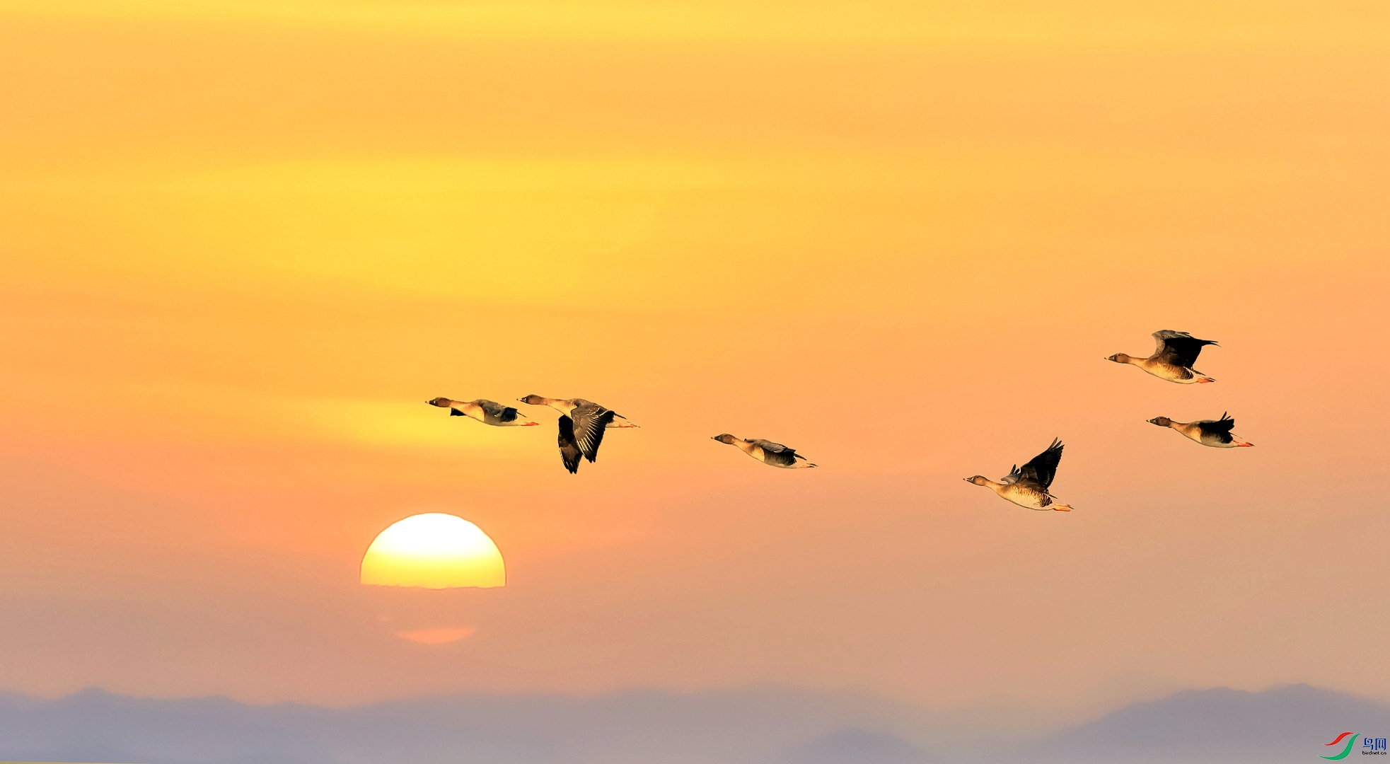  ����ĺ���