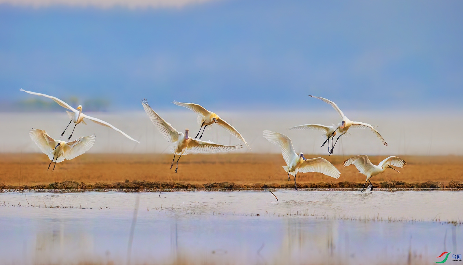 AI8I4014 ����.jpg