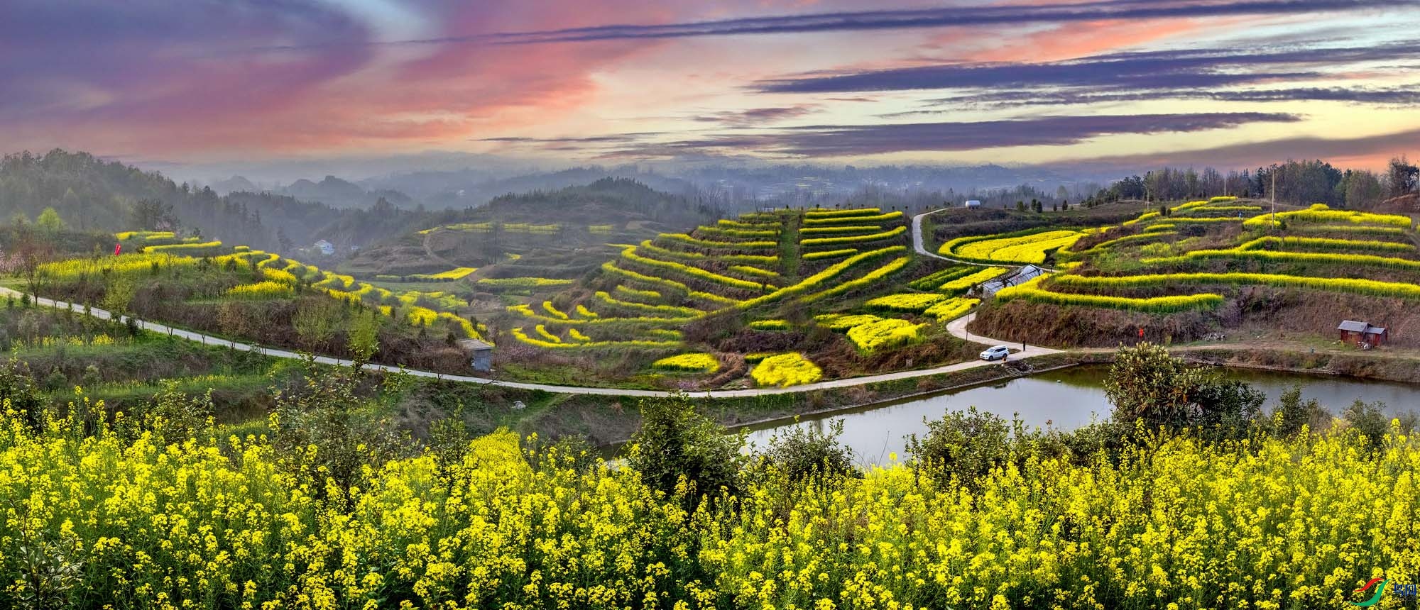 DSCF6910-ff ����.jpg