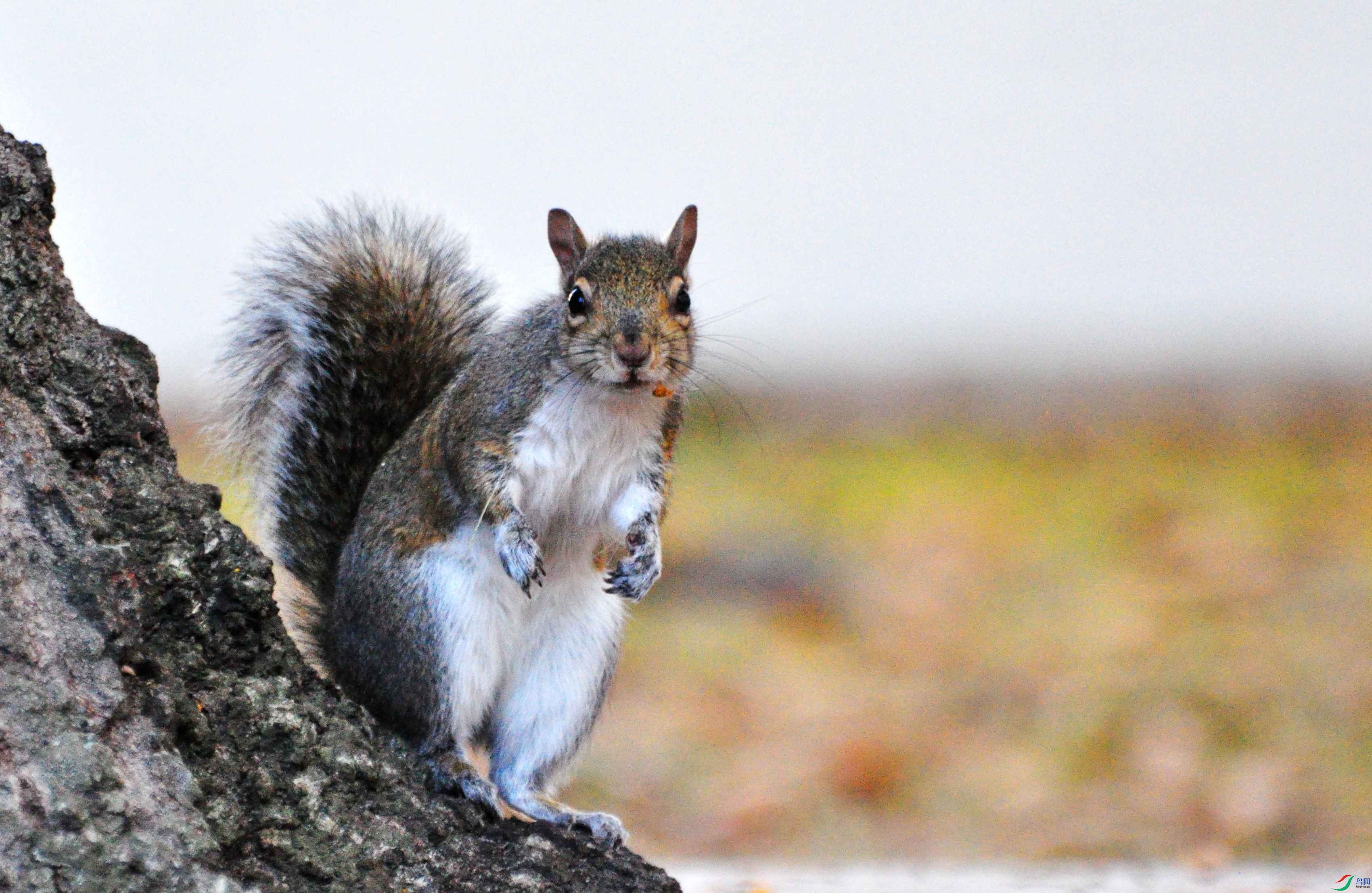 29 �� 127_����.jpg