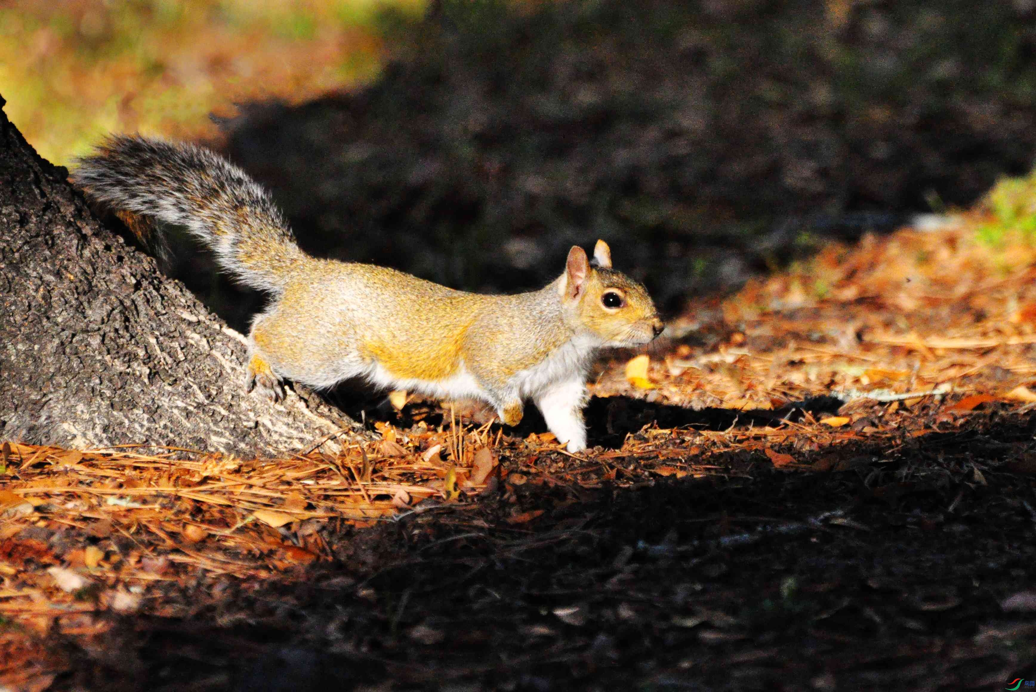 29 �� 146_����.jpg