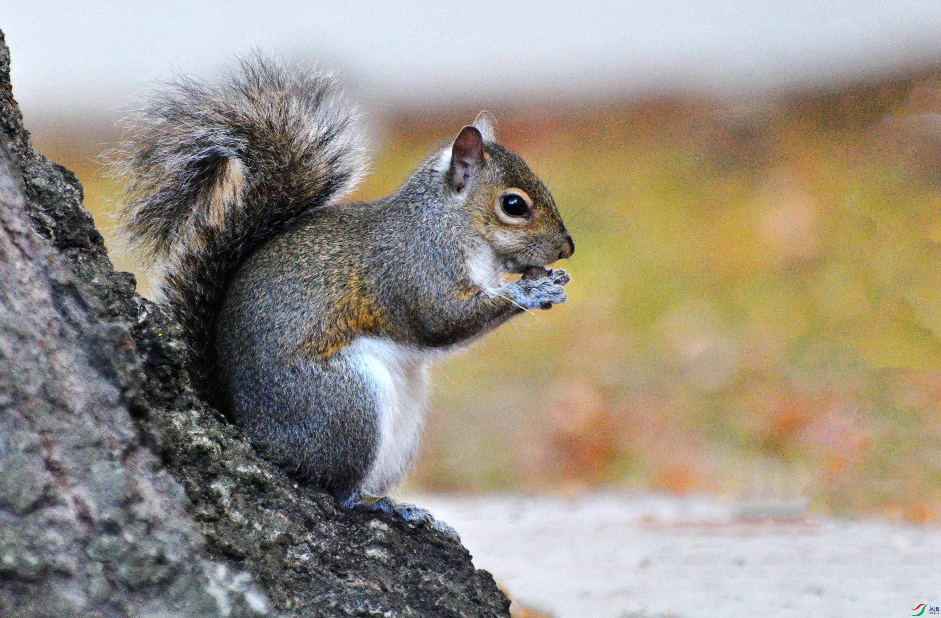 29 �� 136_����.jpg