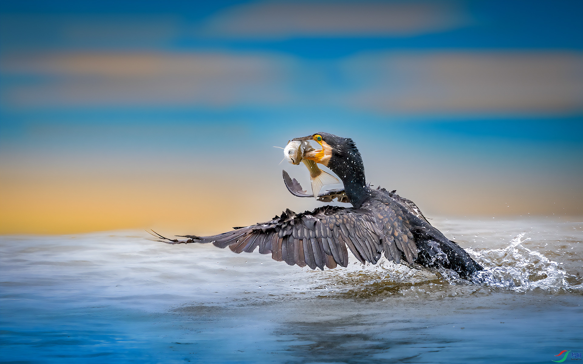 DSC_6400-B.jpg