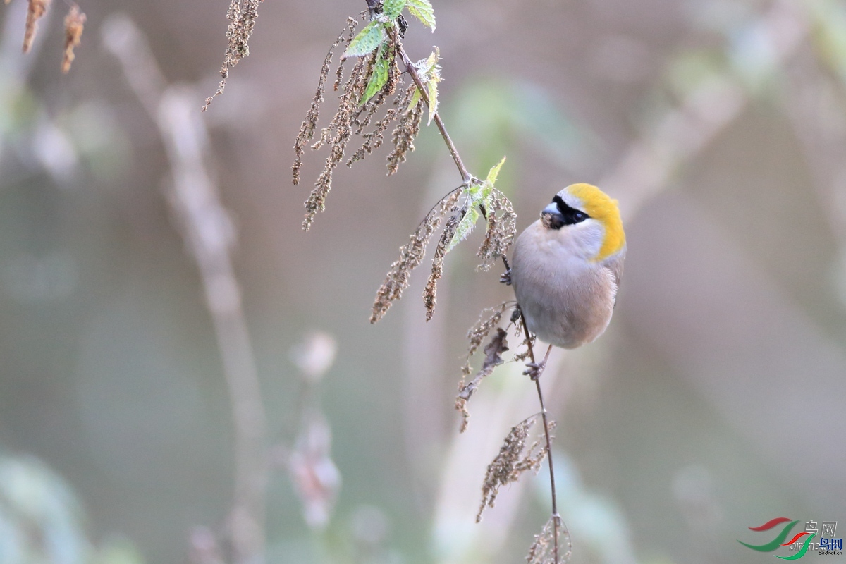 ����  ��ʦ�����������������տ����������ľ��.jpg