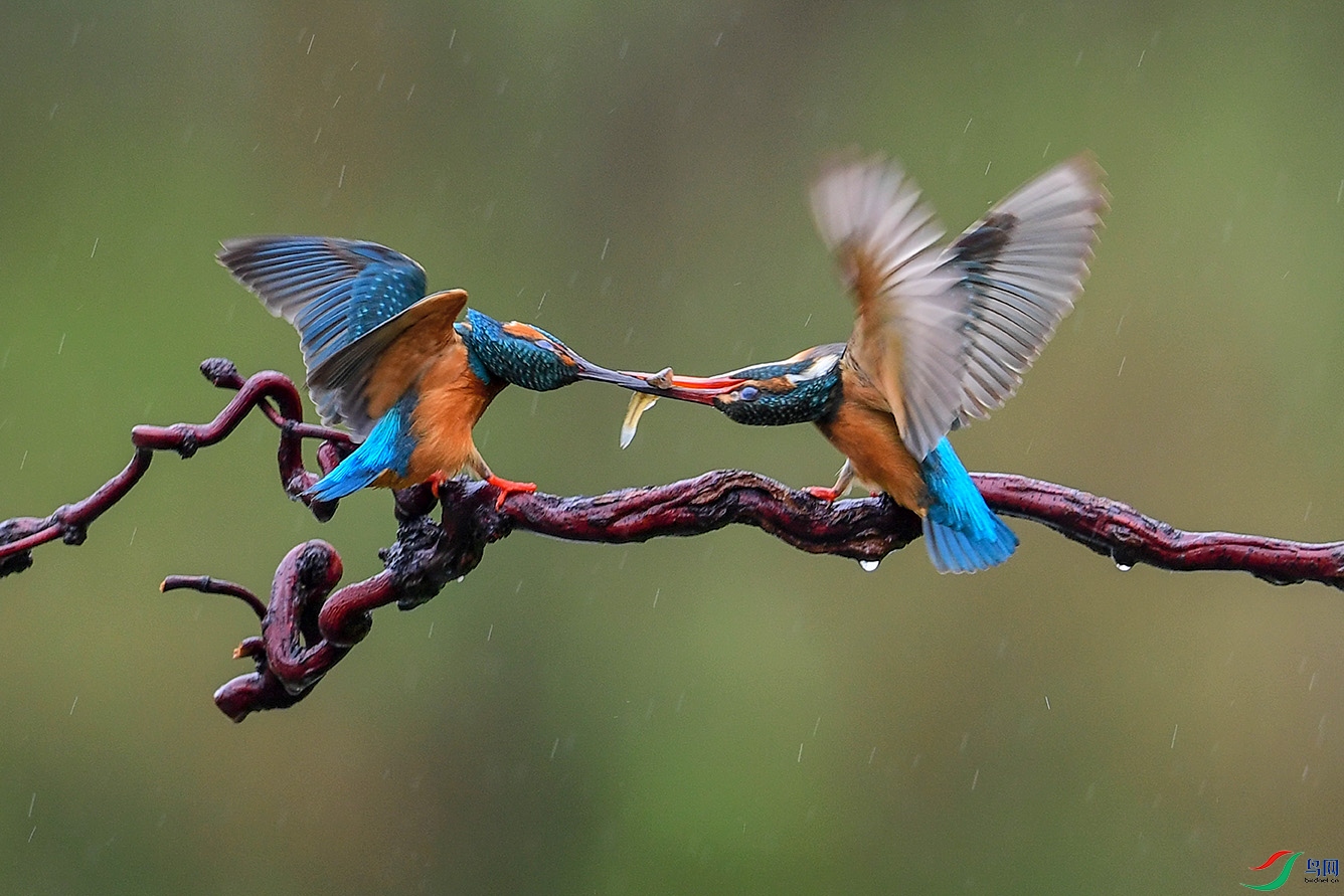 DSC_9026-2.jpg
