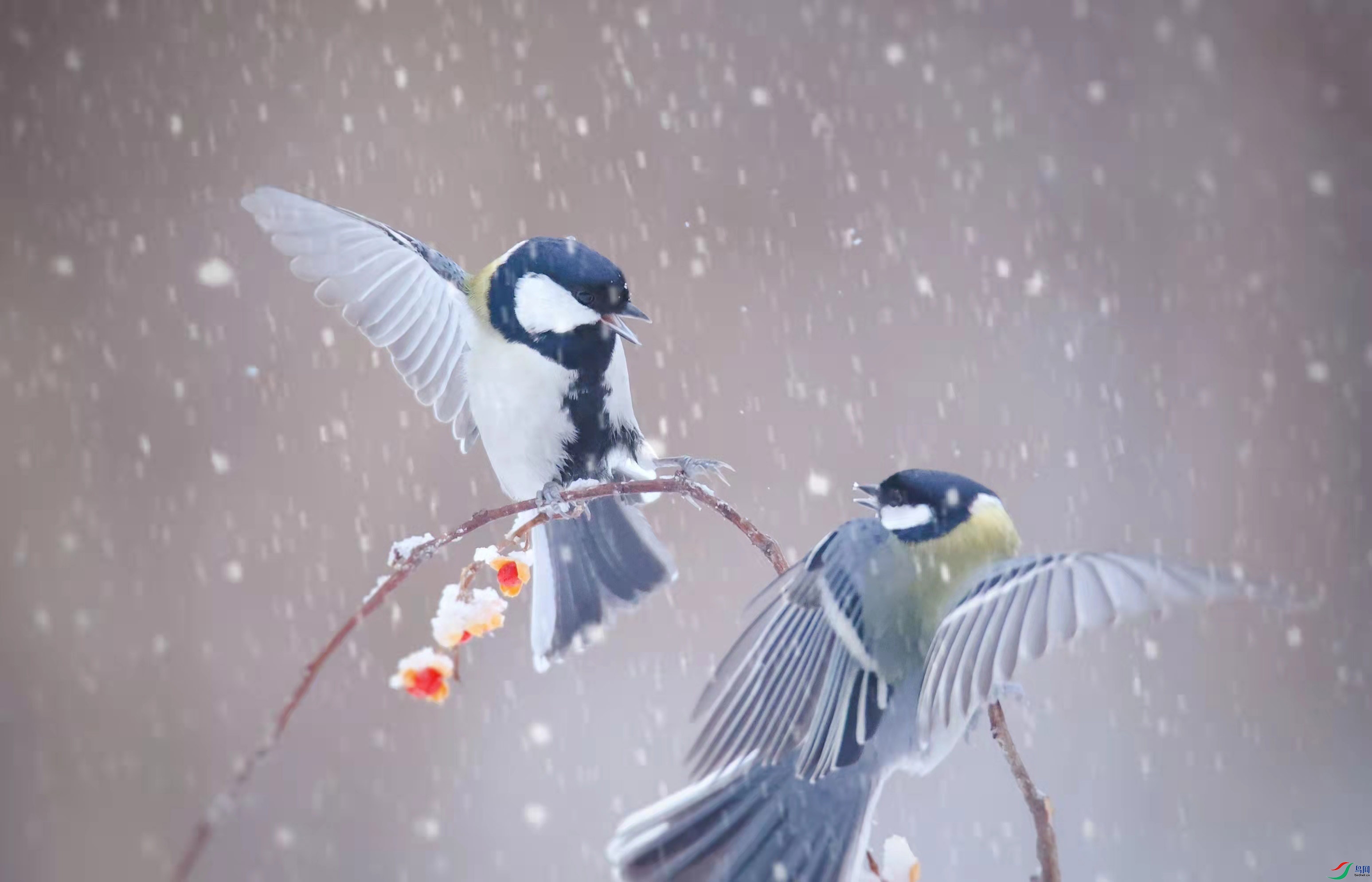 ΢��ͼƬ_20220320194022 ����.jpg