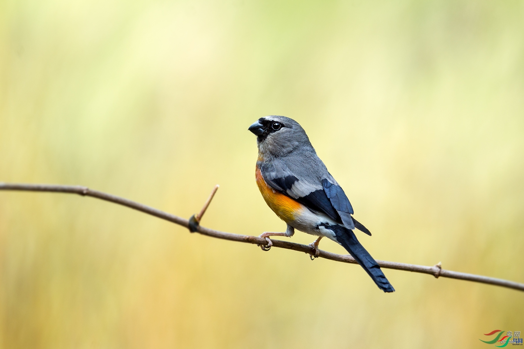 �ﺮ  ��ʦ�����ڱ����г�����.jpg