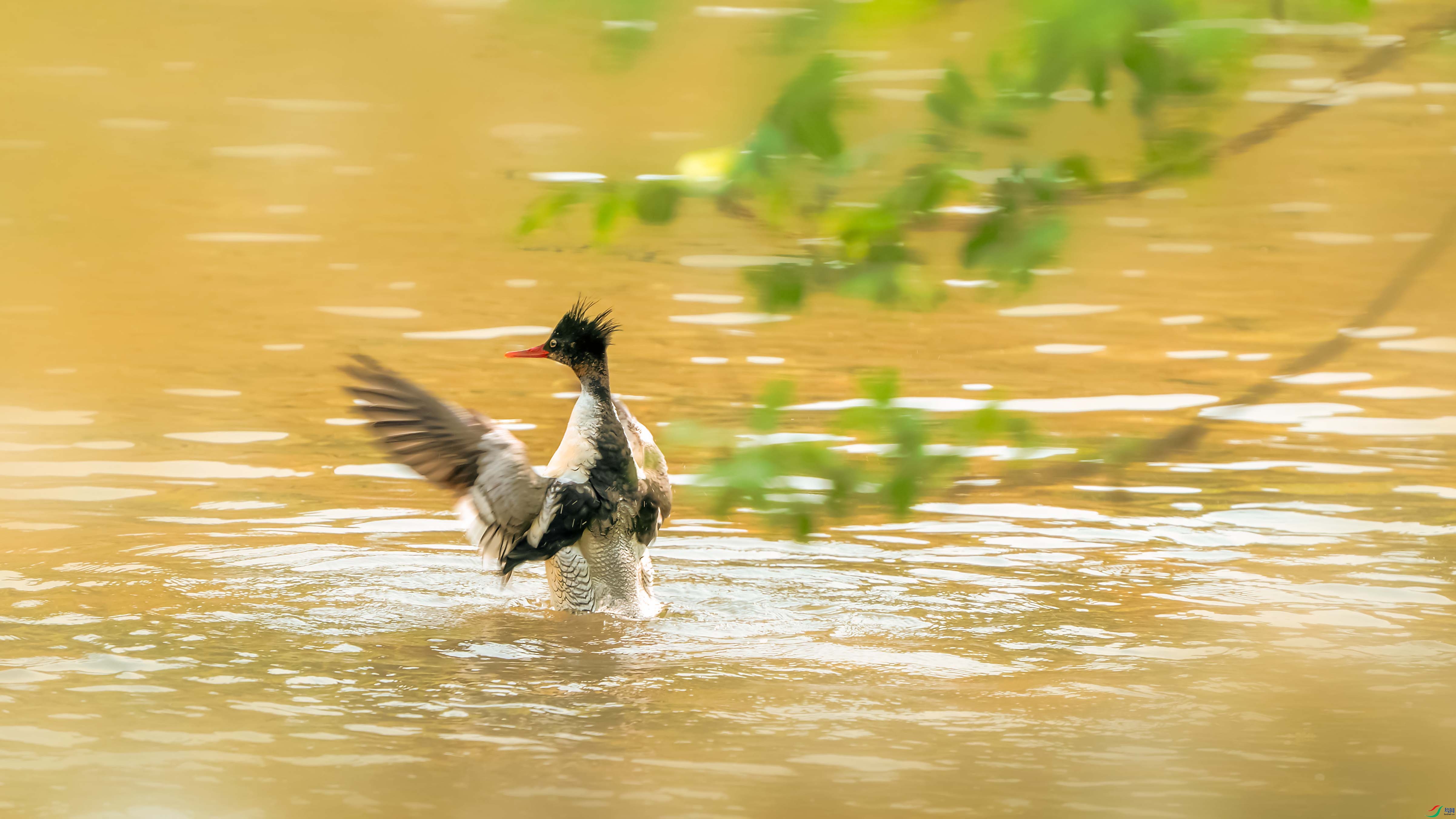 ZZX07610 ���� 2.jpg