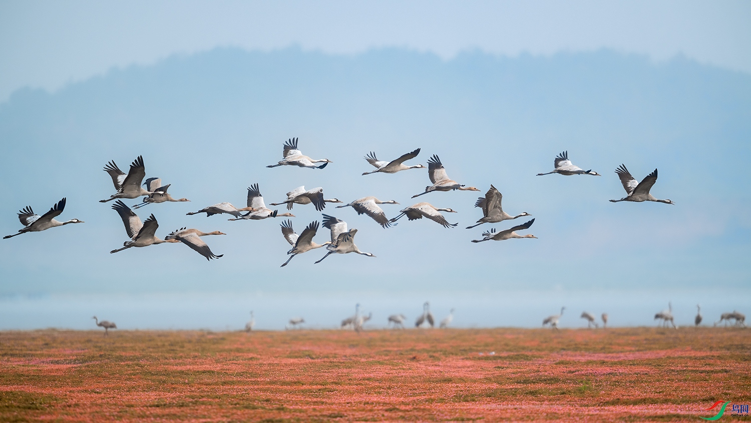 DSC_3082 ���� 3.jpg