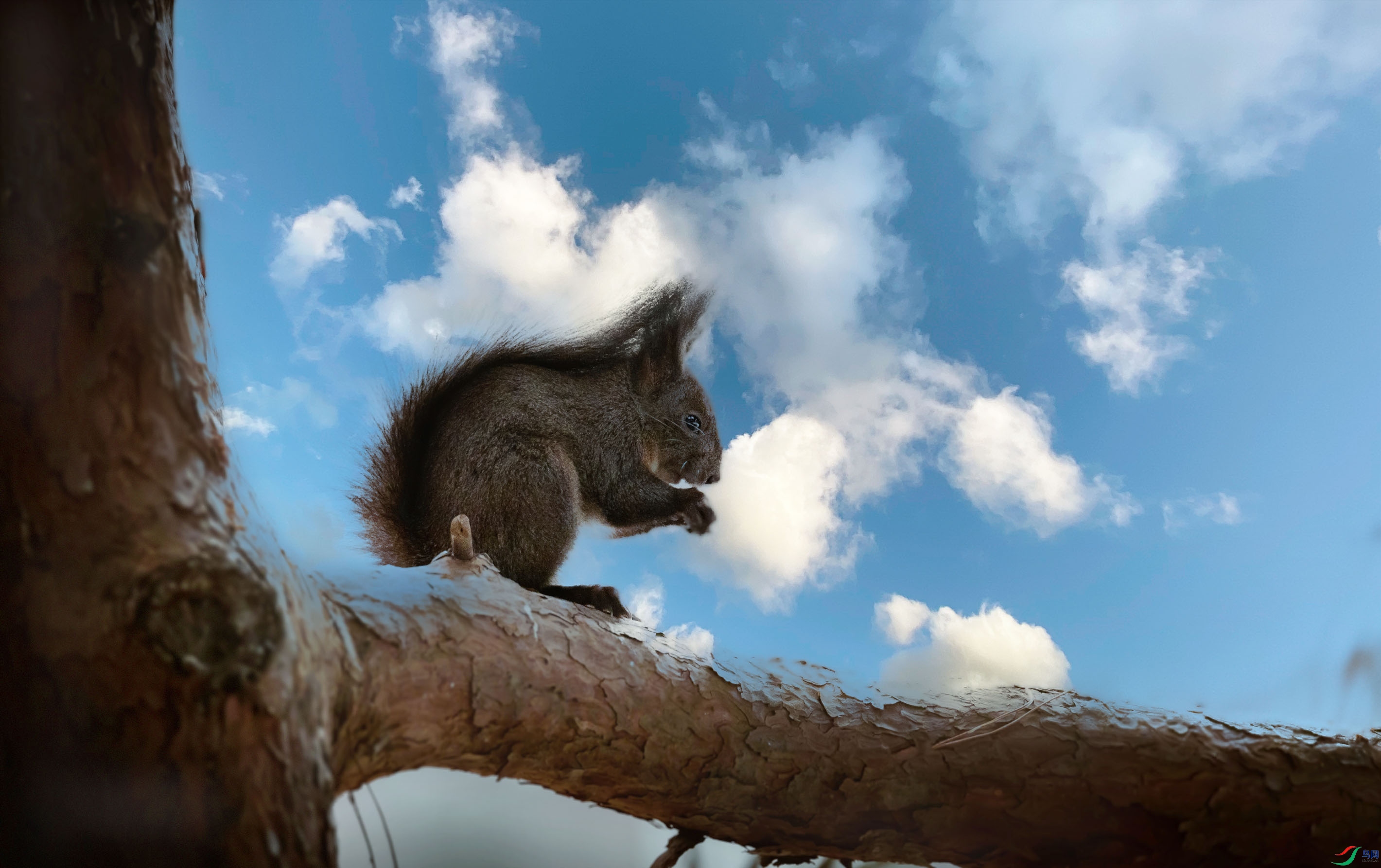 ���ϵ�����