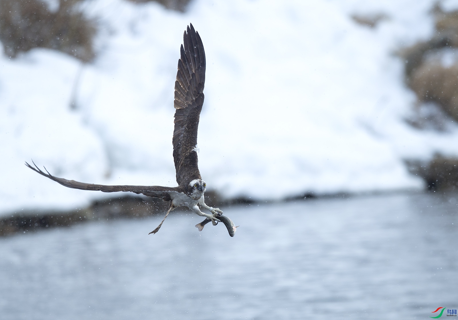 ��DSC_5839 (2).jpg