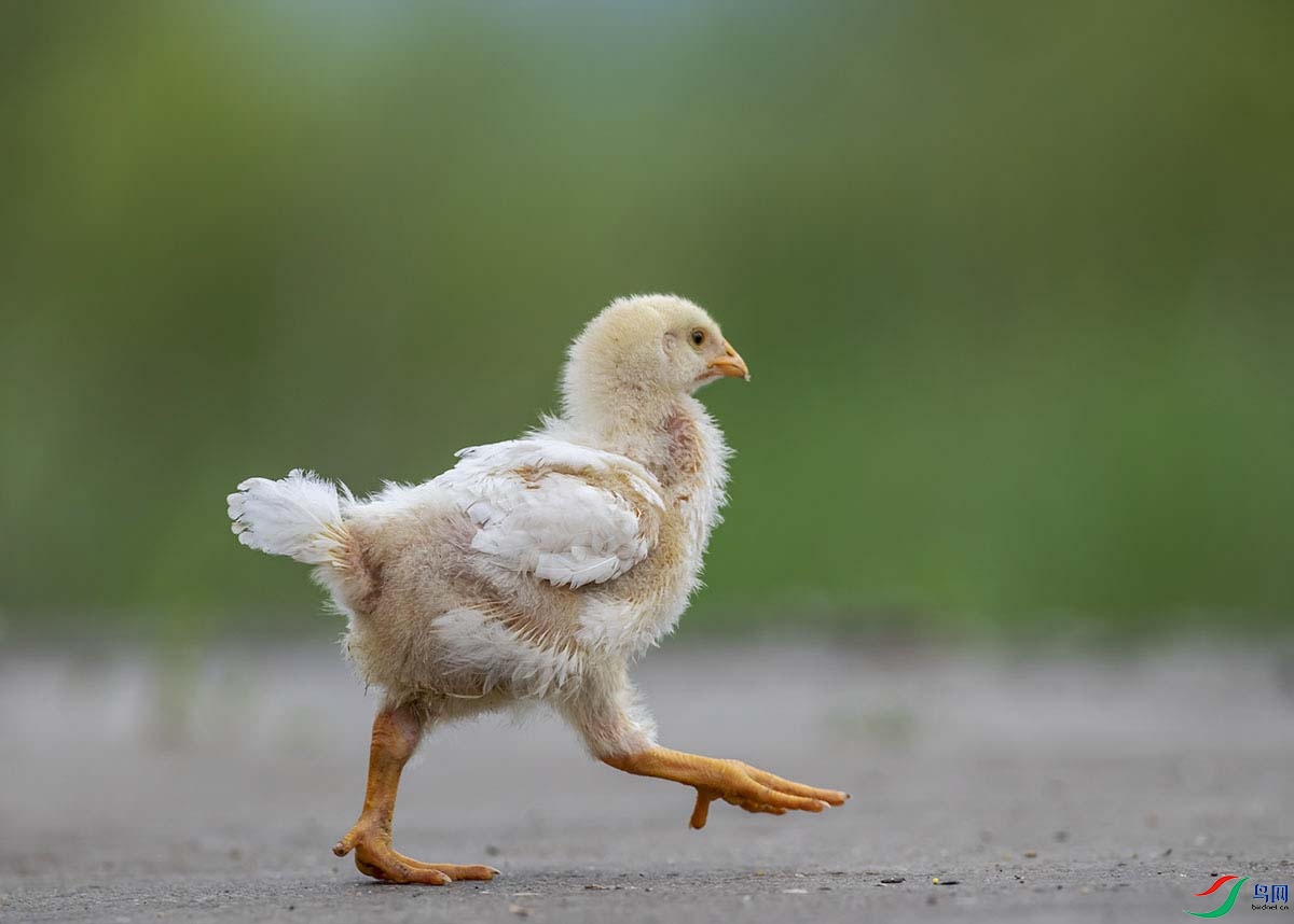 _DSC0830.jpg- - ����.tif-.jpg