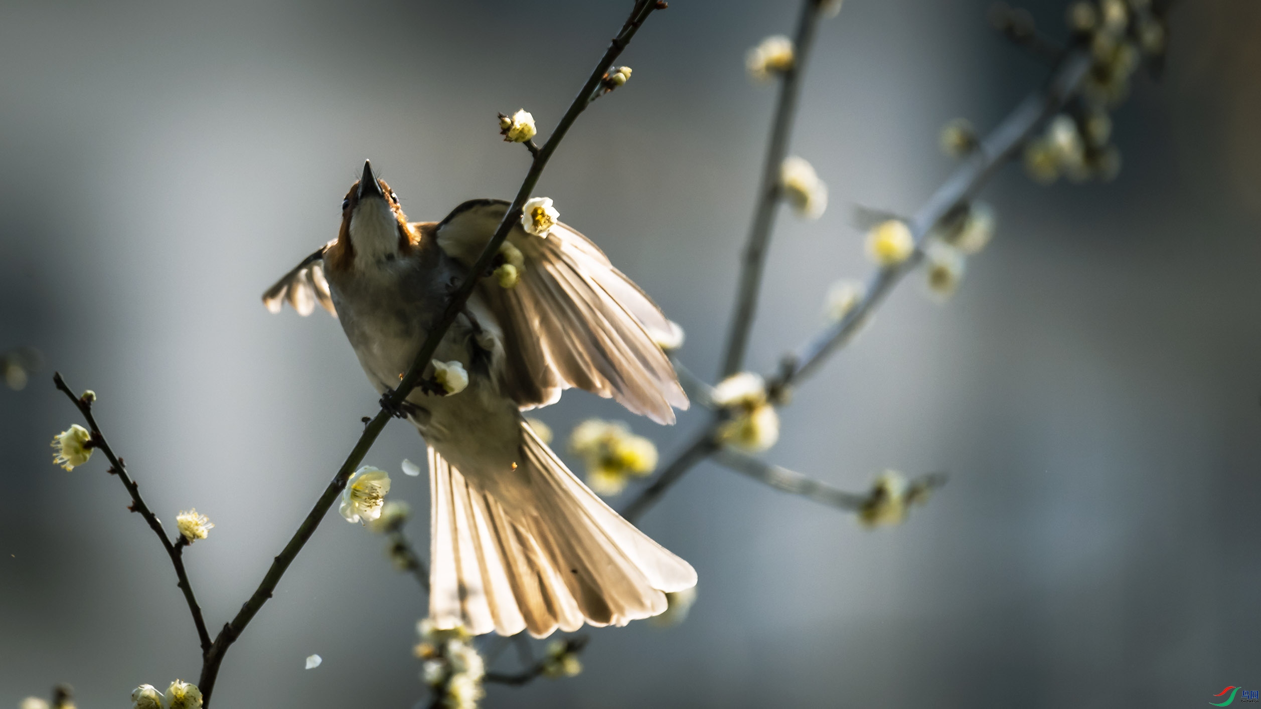 DSC_6843 ����c.jpg