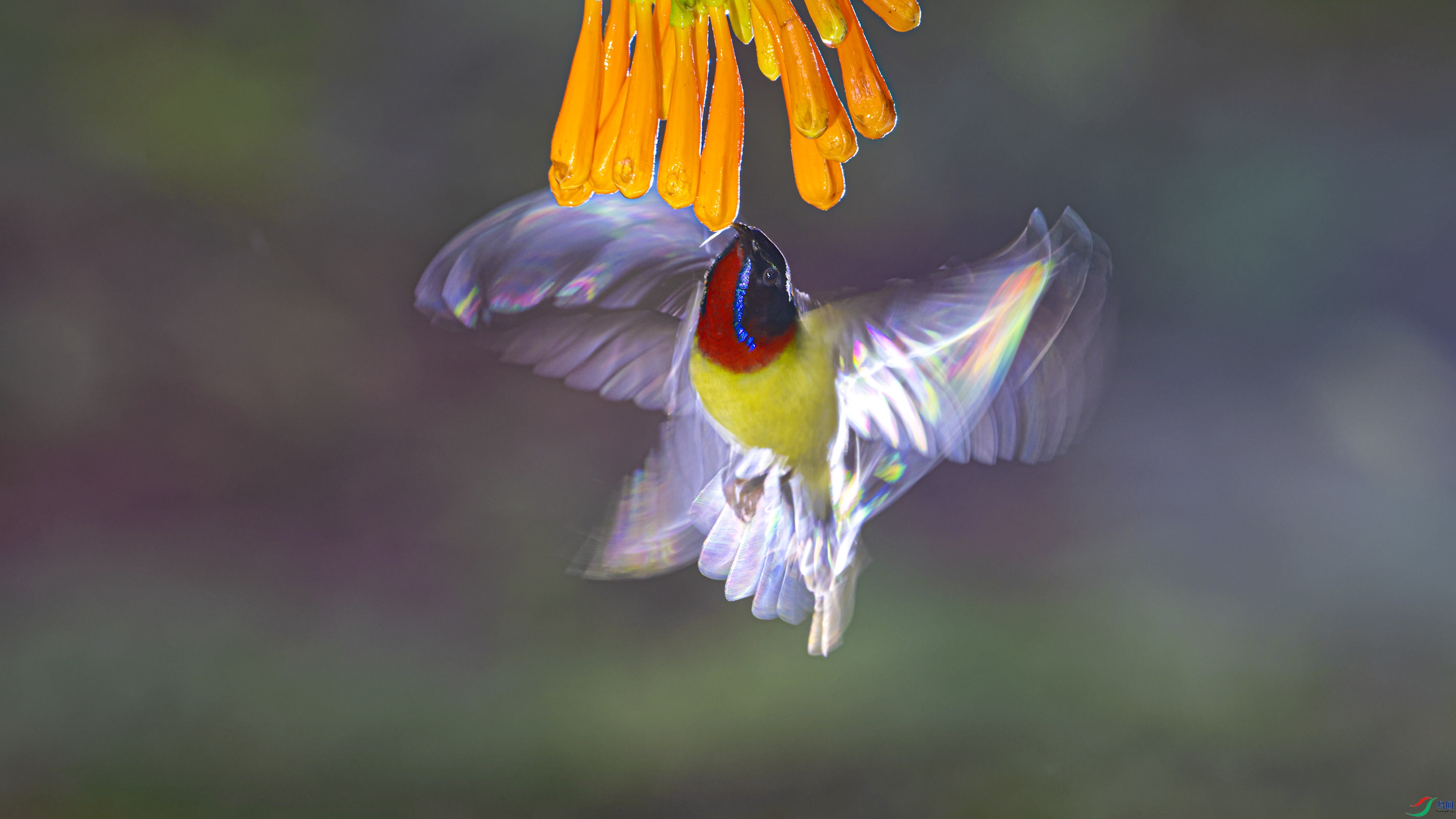 _DSC5859_DxO.jpg