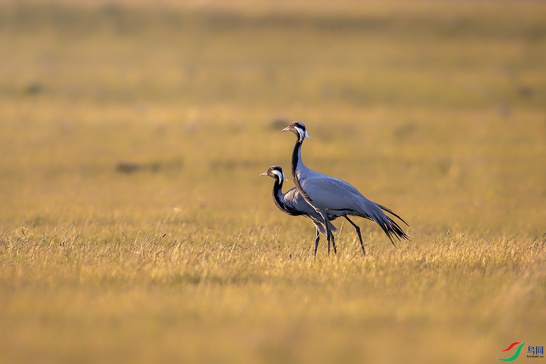 ����� (3).jpg1.jpg