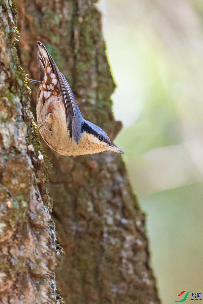 DSC_2166a.jpg