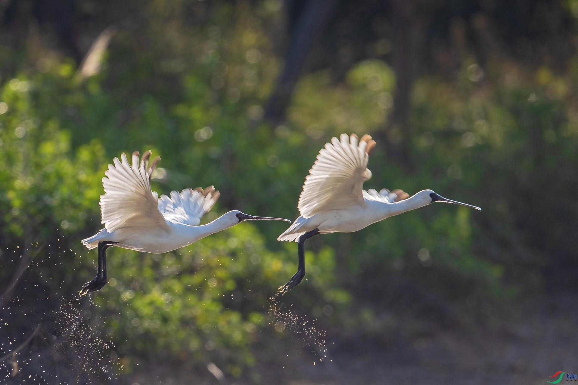 BP1I3840-2 ����.jpg