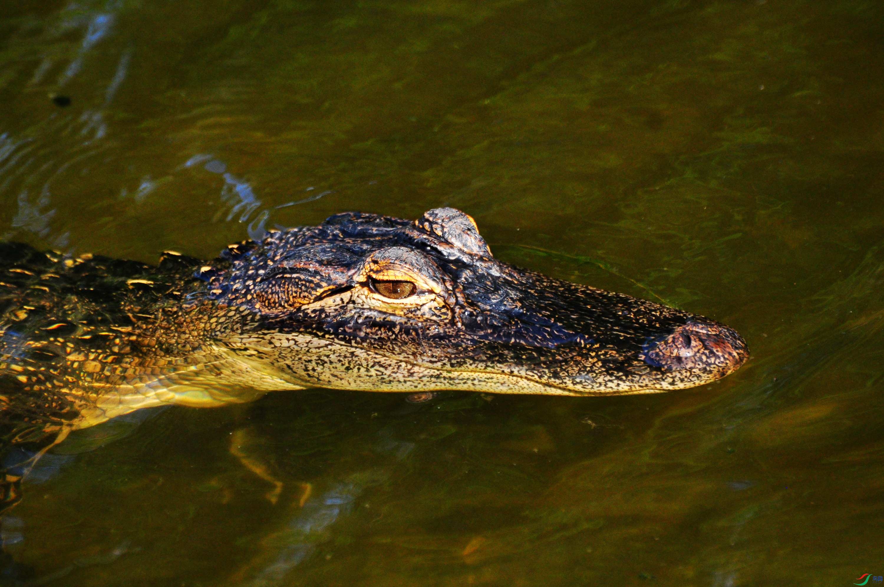 3.31 151_����.jpg