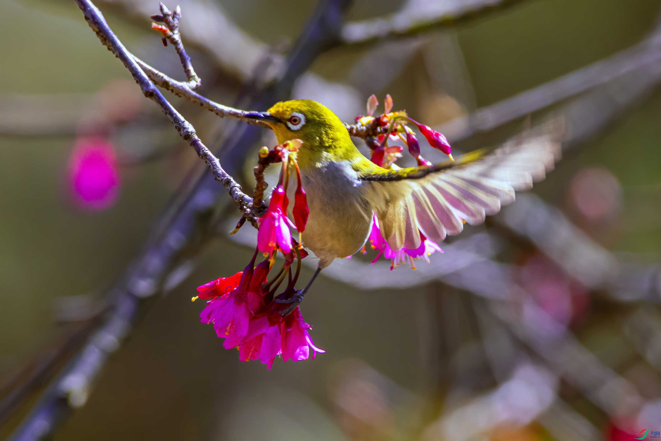 _07A9762--1 .jpg