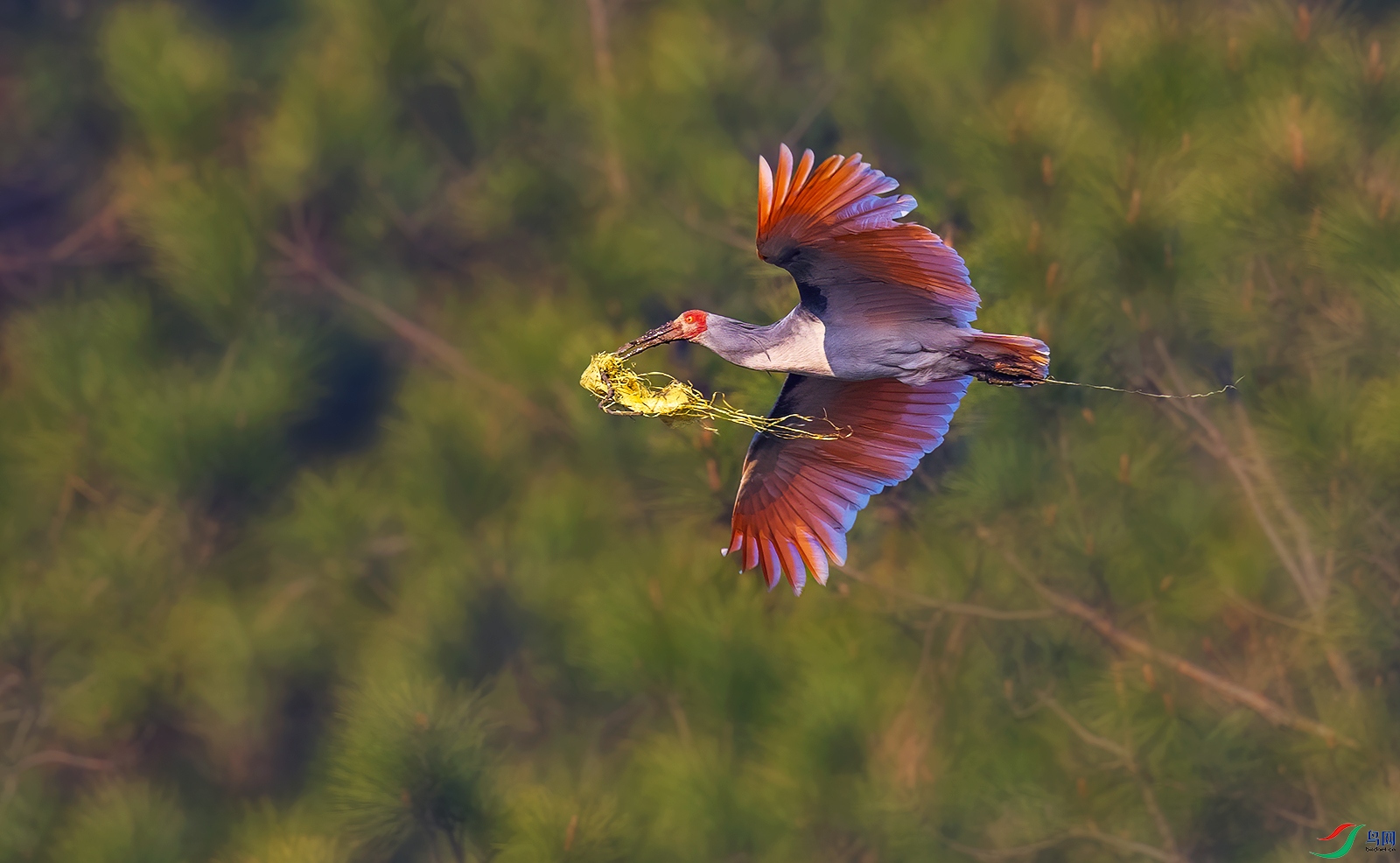 AC0I6334 ����.jpg2.jpg