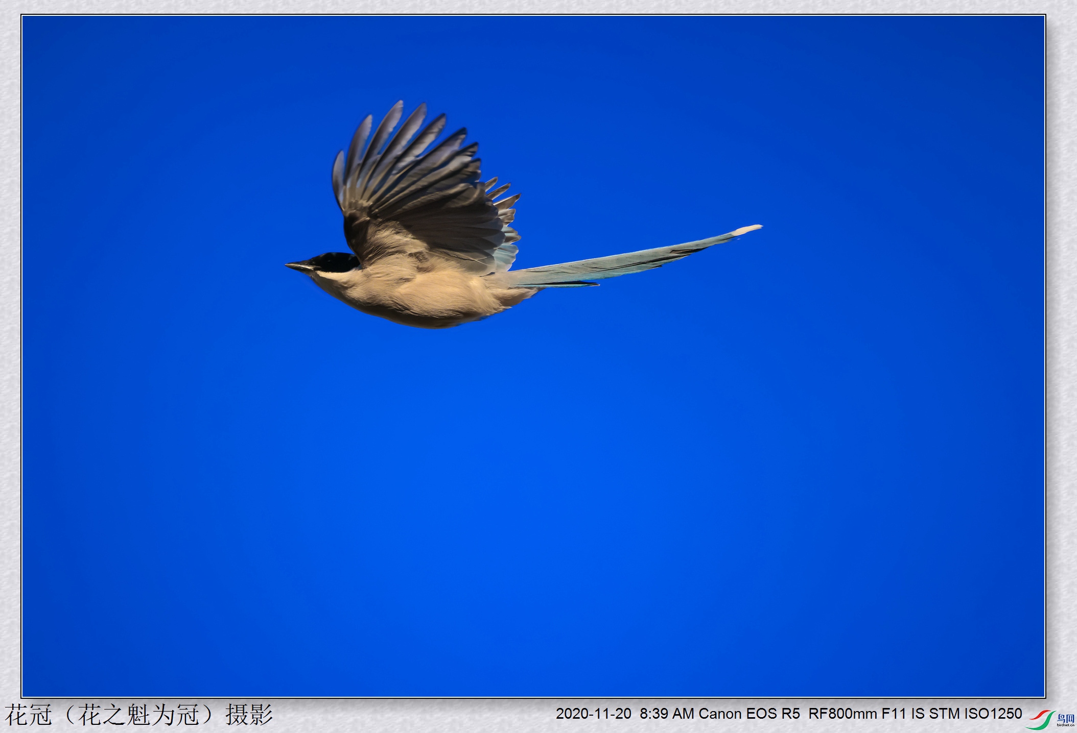 306A3811B-1_����_����.jpg