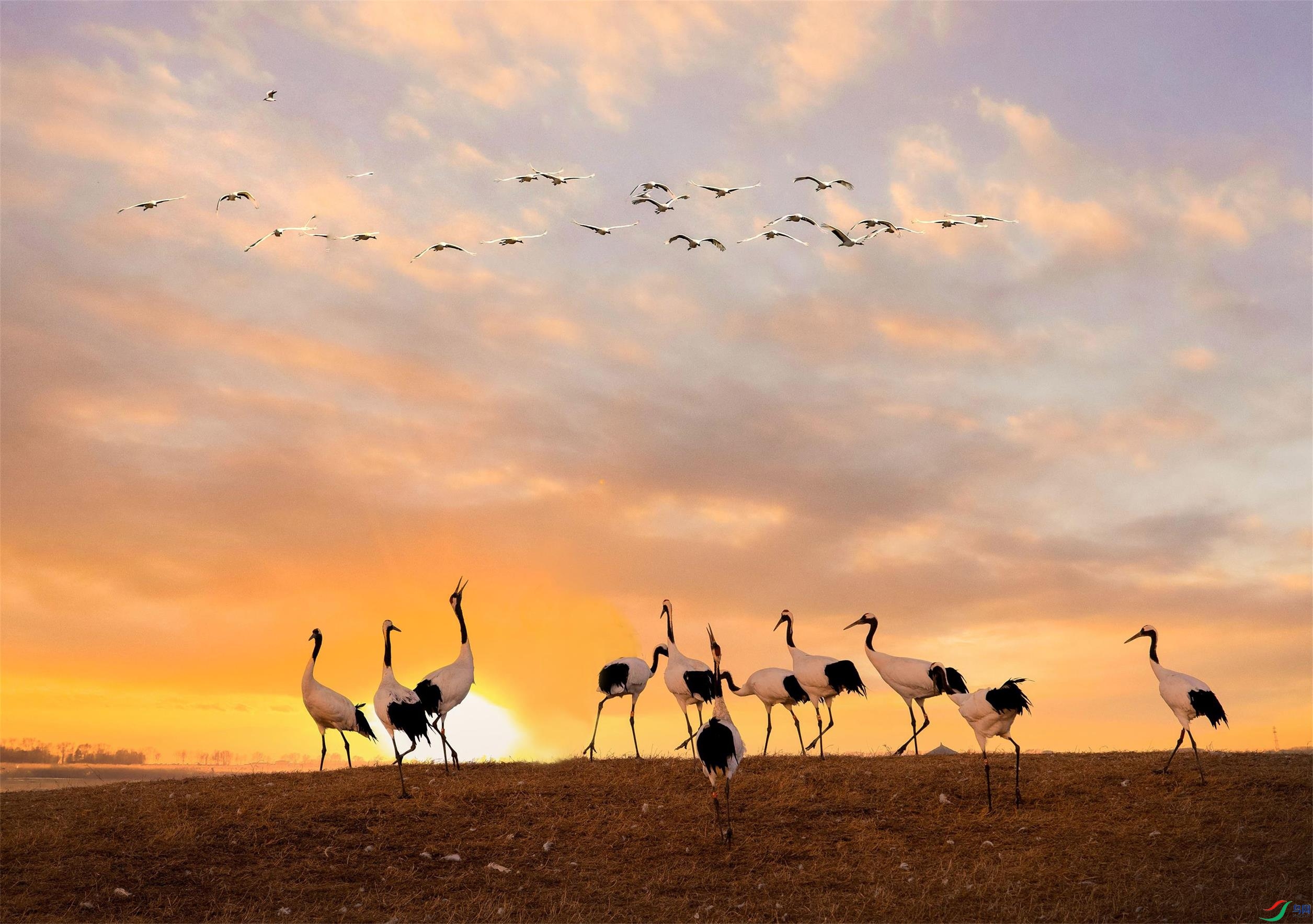 _70I3722-7016742=00      �ɺ׸߸�(1).jpg