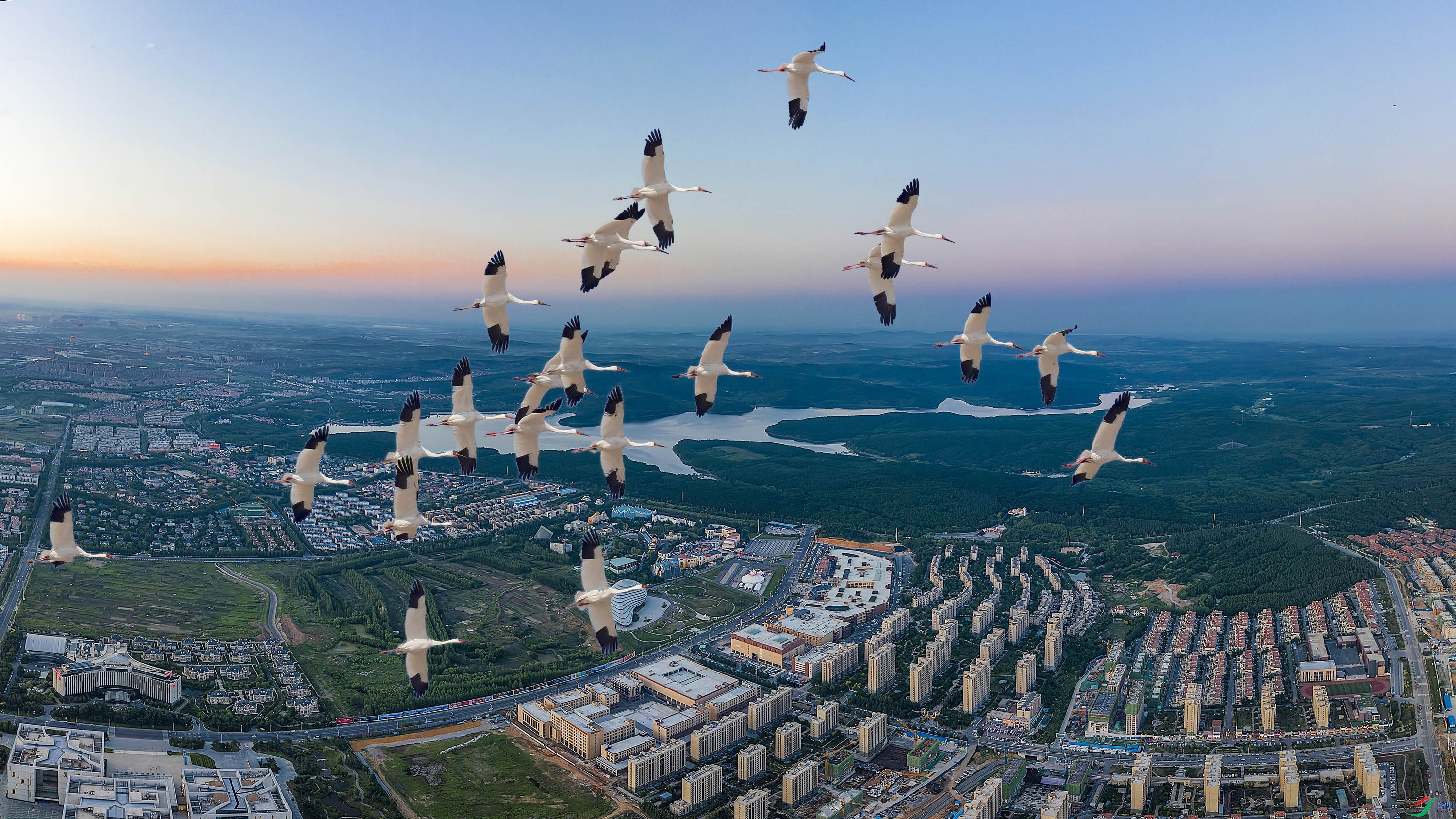 1b ����x.jpg