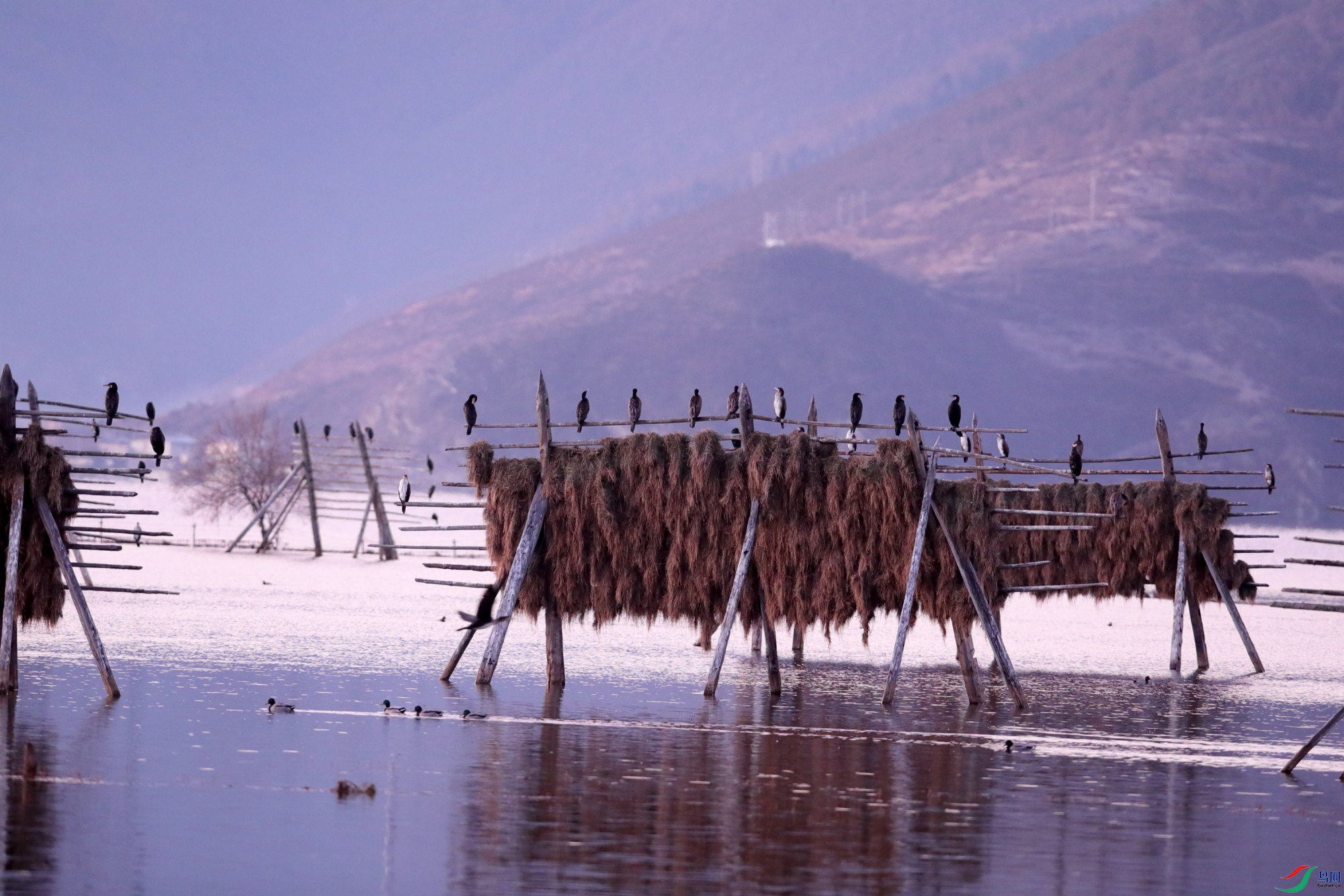 N8.JPG