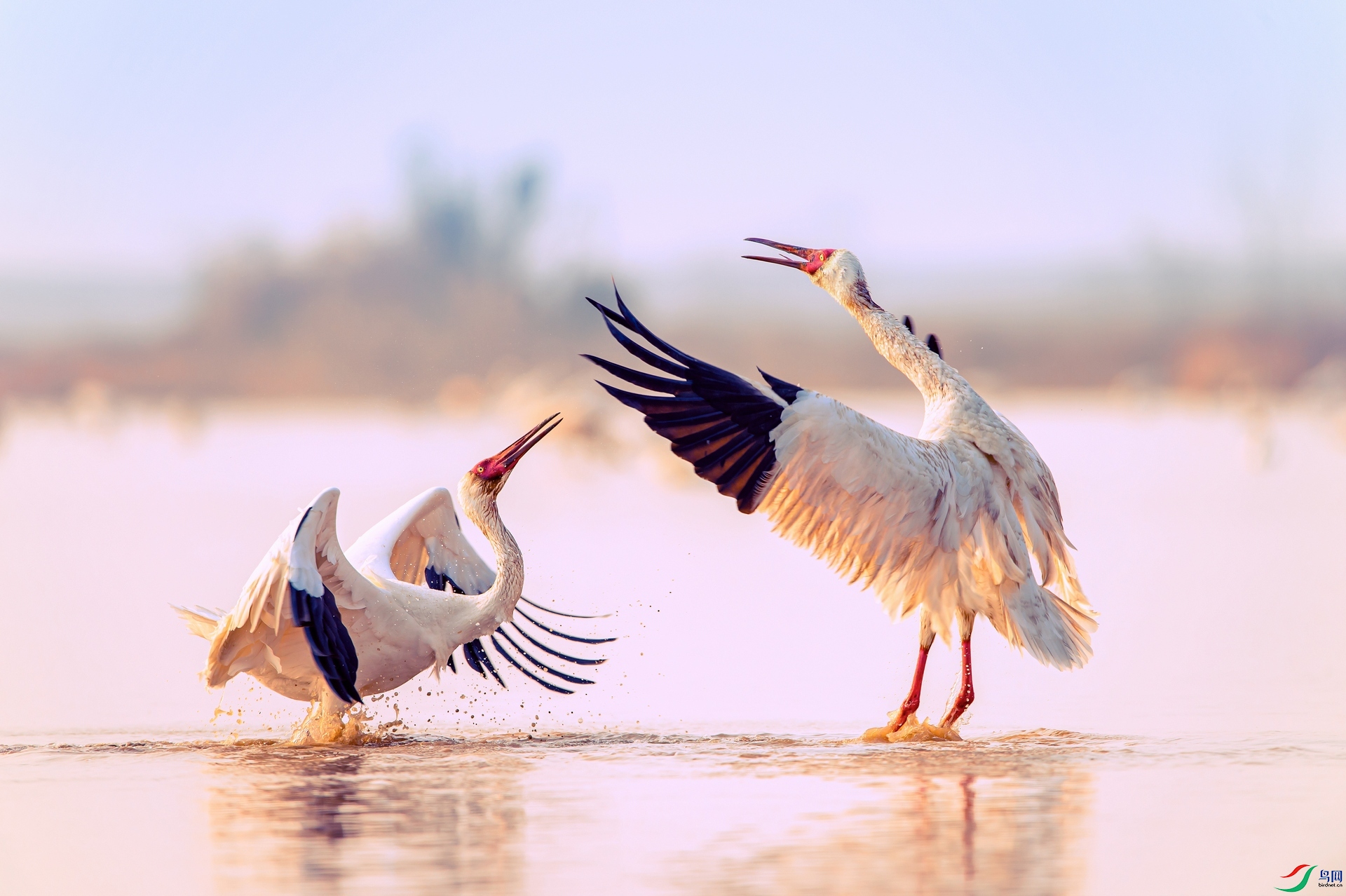 ��ƬDSC_2029.jpg