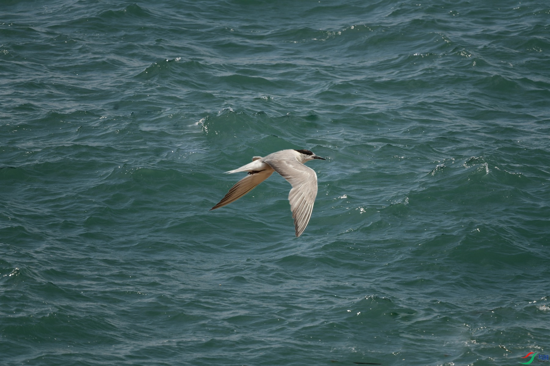 ����01_����.jpg����.jpg