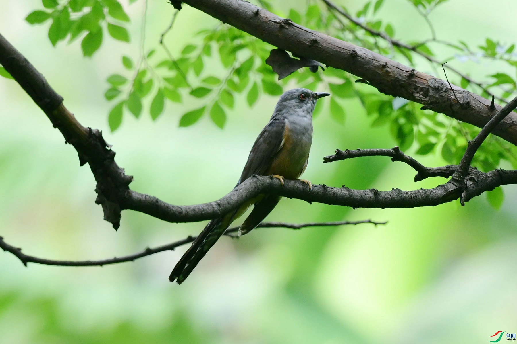 DSC_4904_�ຣ_����.jpg