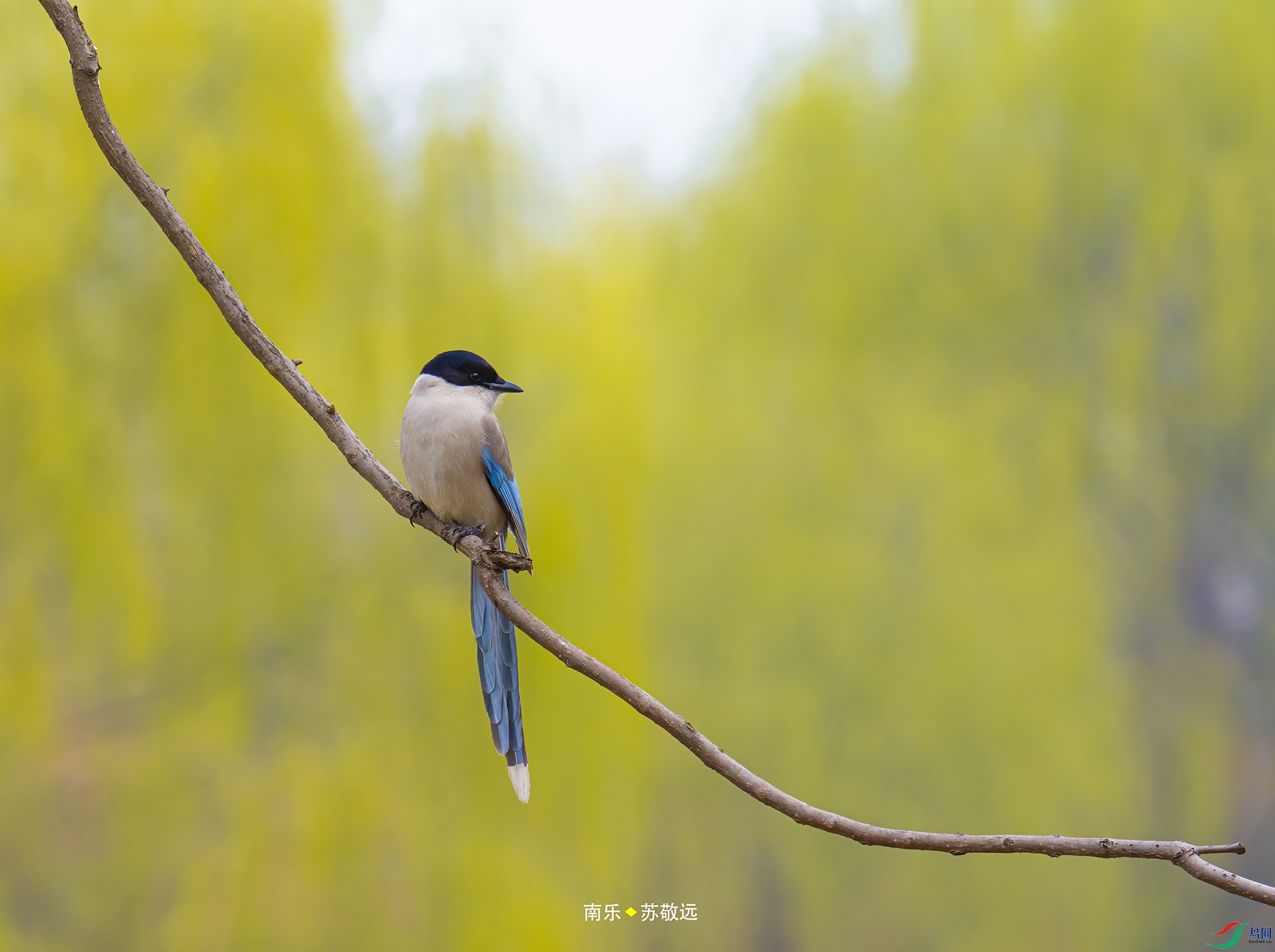 _DSC5963С.jpg
