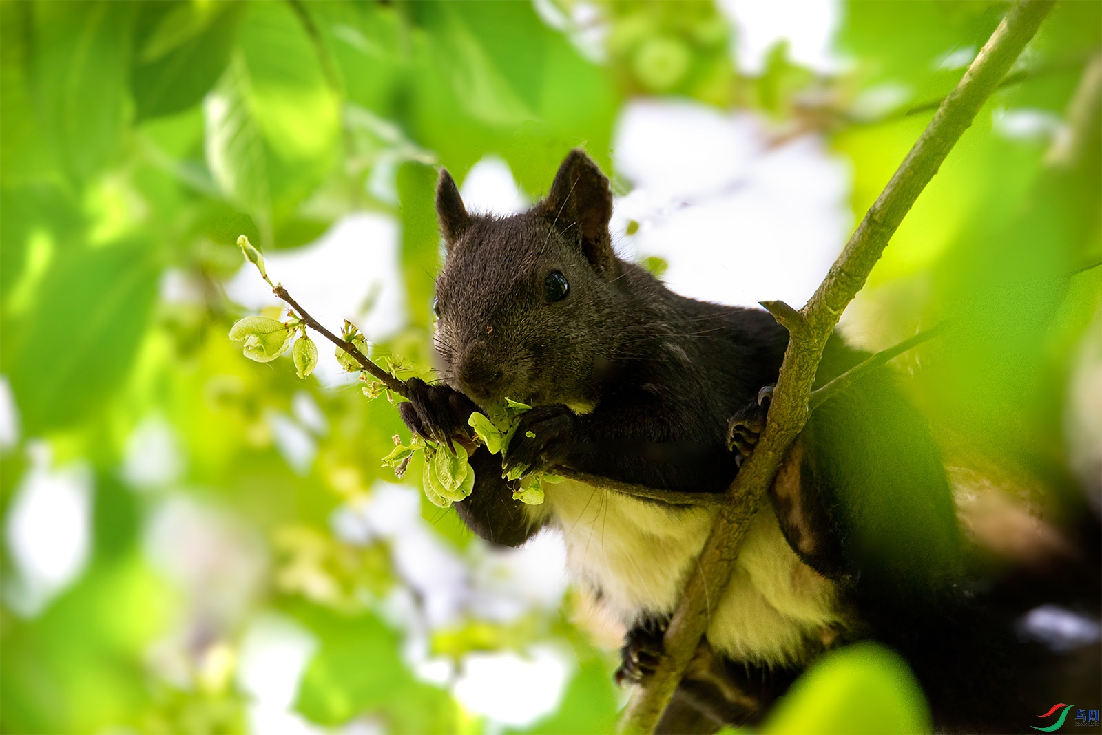 _DSC0002web.jpg