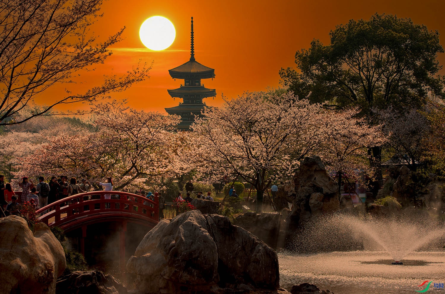 XSX_0865 ���� 2.jpg