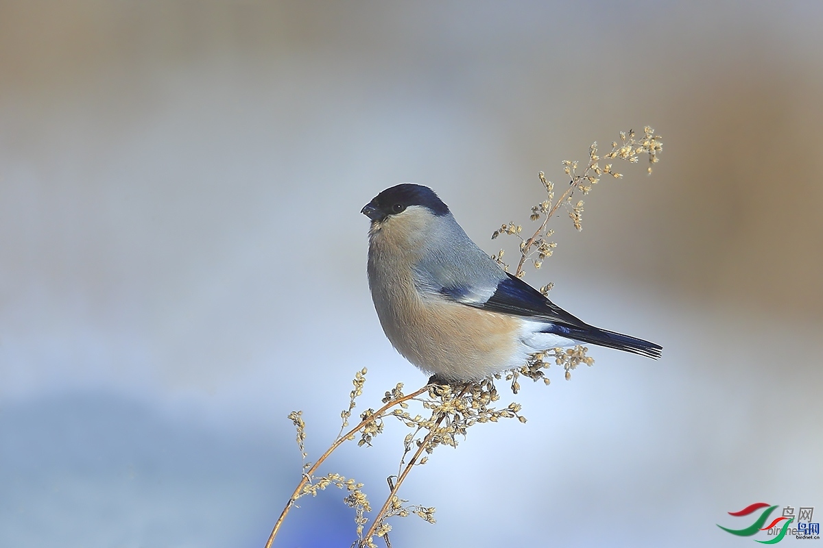 ���ã�һ��������  ��ʦ���������ɹ����������ױ����и�����.jpg