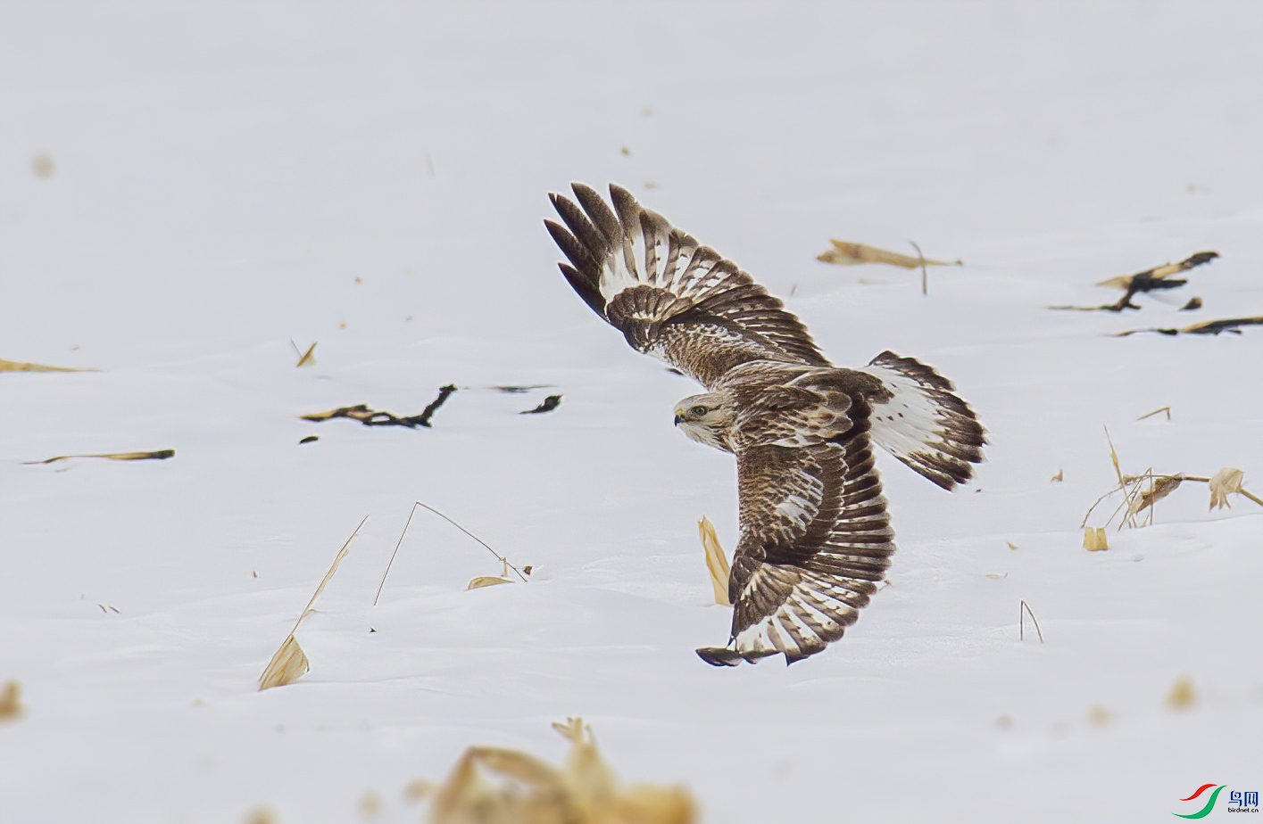 DS1_0728.jpg