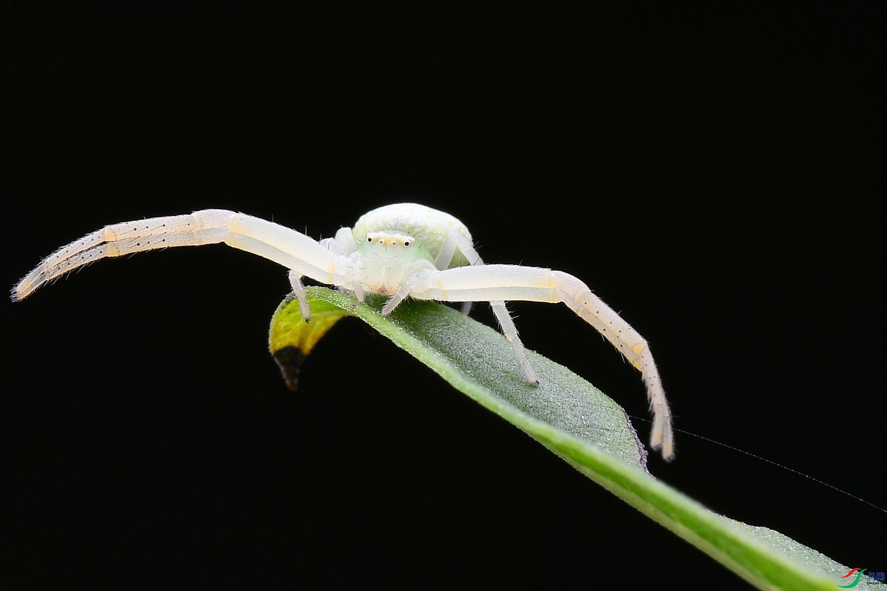 DSC_9747.jpg