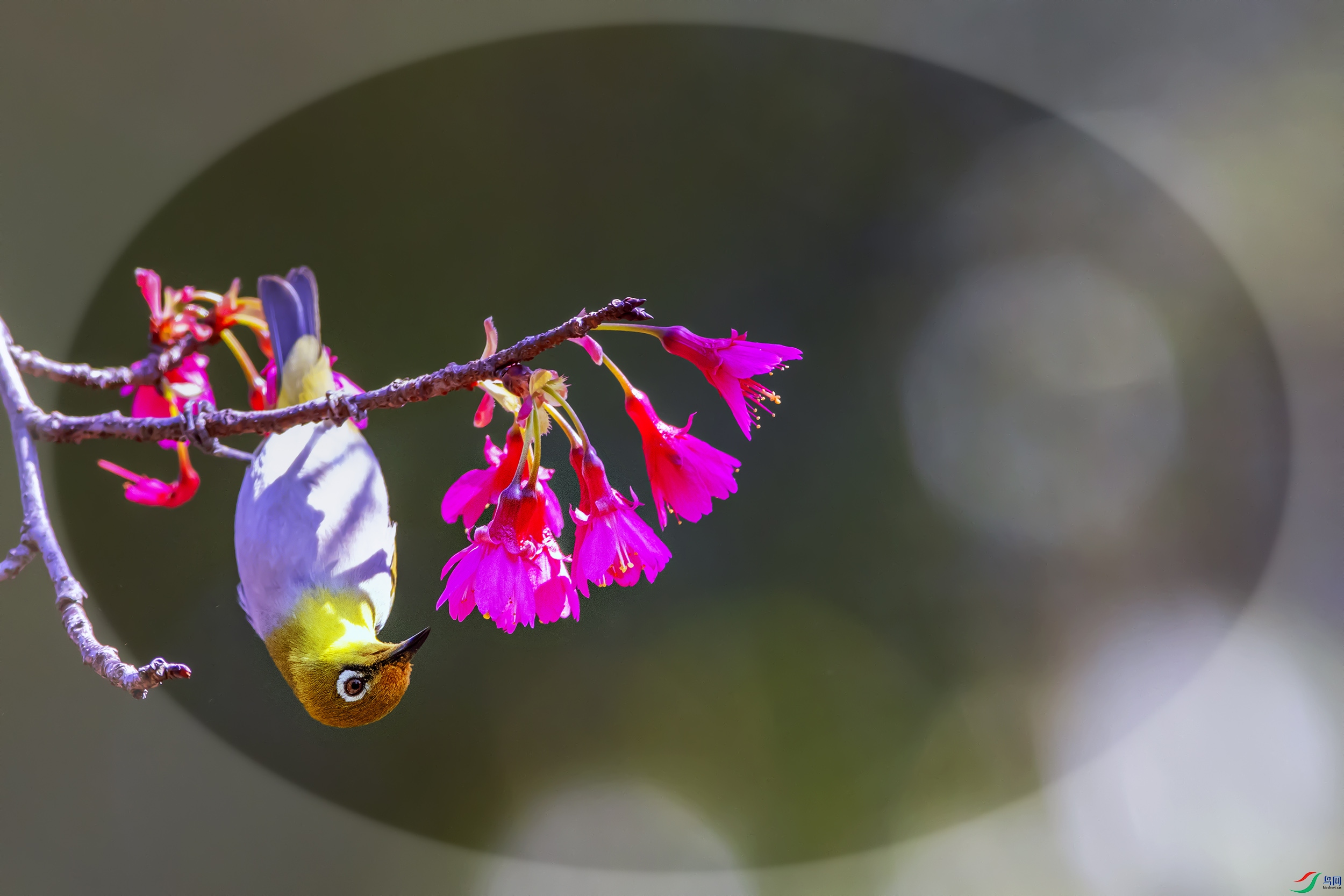 _07A9851--1  .jpg