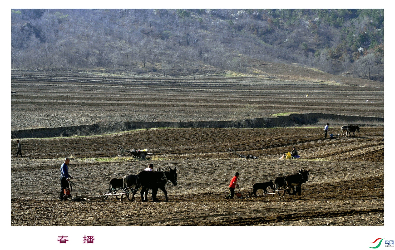 A1 ����  255_����.jpg