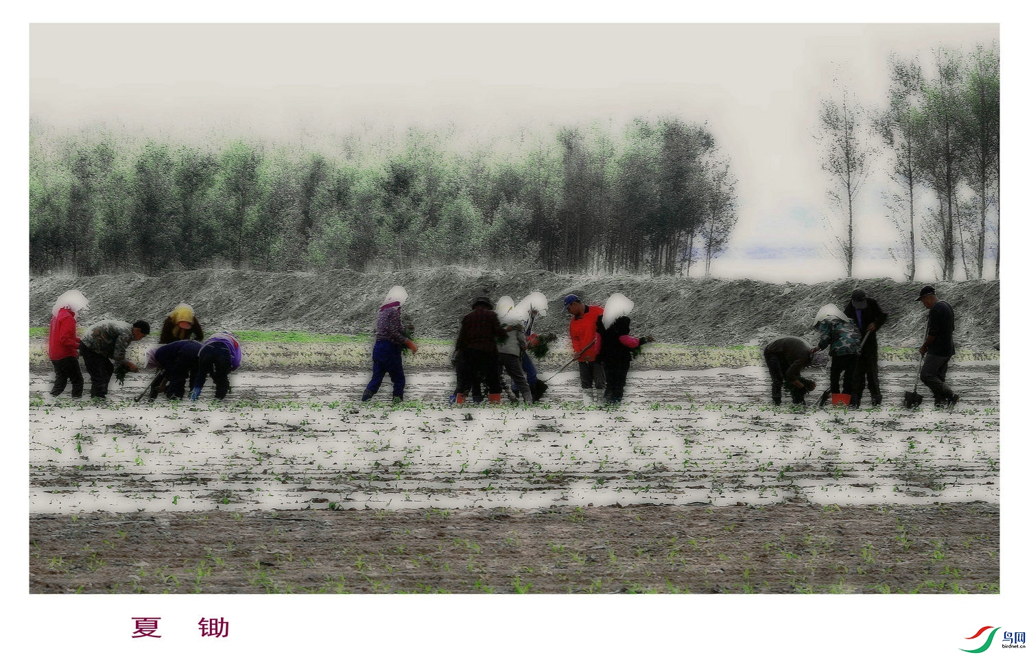 A2  �ĳ�   154 _����.jpg