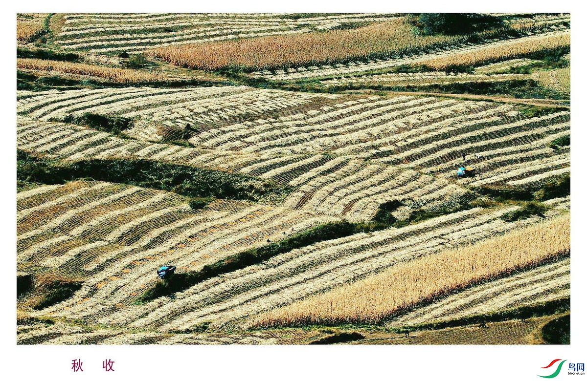 A3 ���� 253_����.jpg