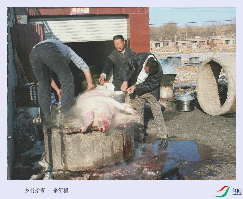 ���ʰ��  ɱ����_����.jpg