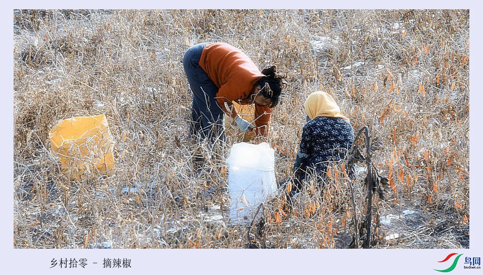 ���ʰ��  С����.jpg