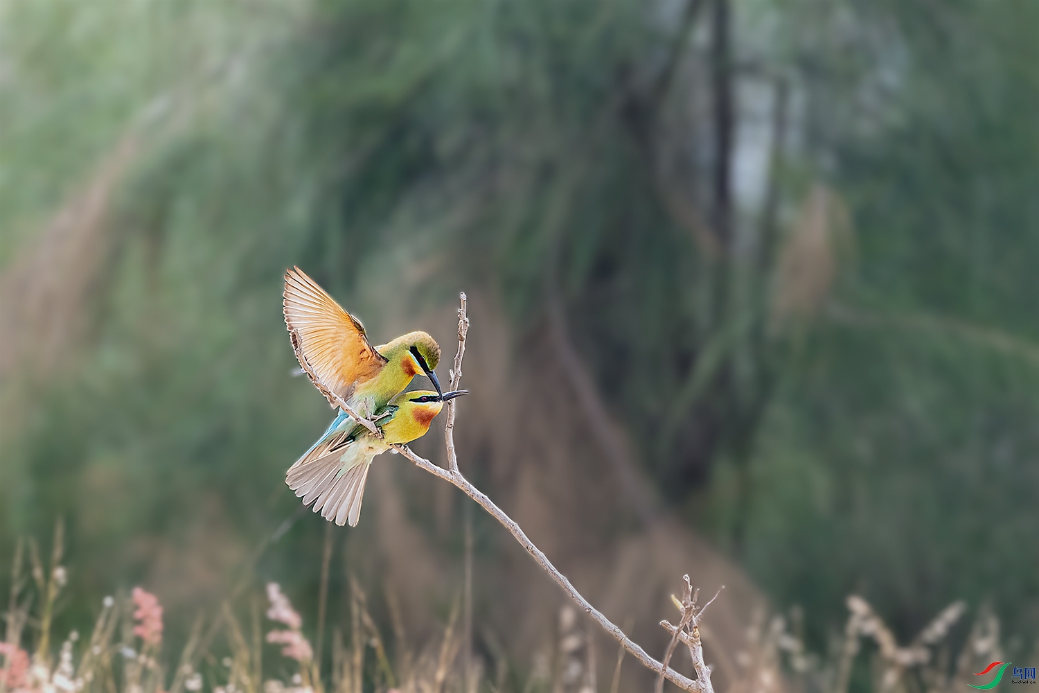 DSC_3009-2.jpg