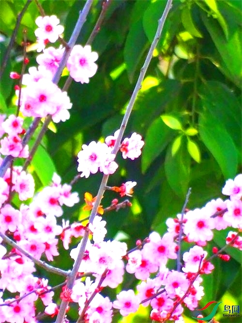 DSC01095.JPG
