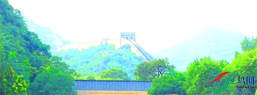 DSC007645.jpg