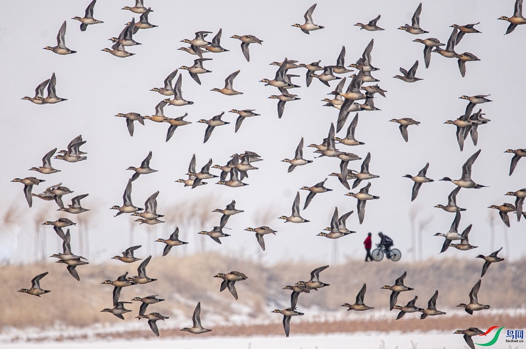 psc (2)1_����.jpg